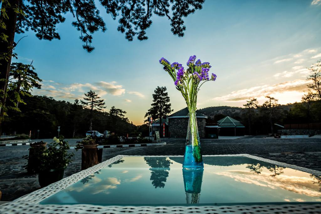 Troodos Hotel & Spa Eksteriør billede